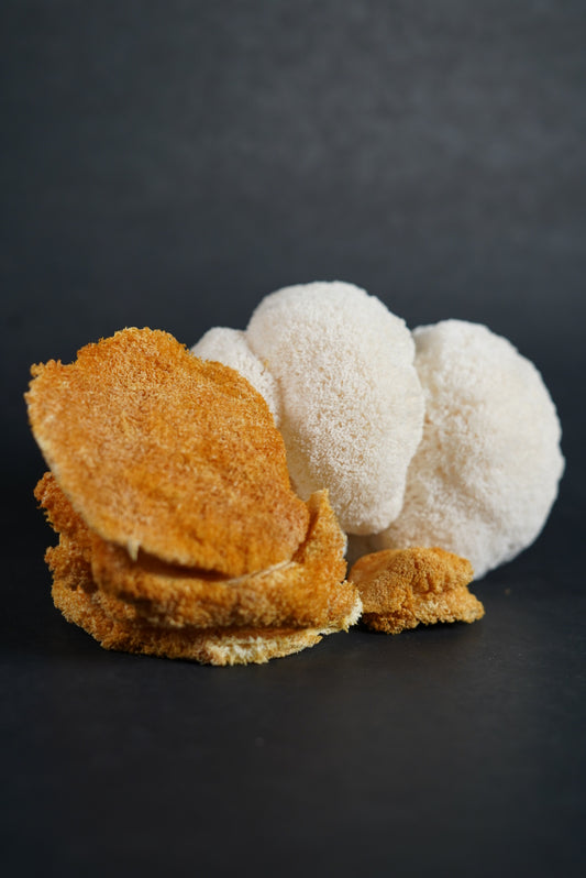 Pure Dried Lion's Mane Mushrooms 1 oz